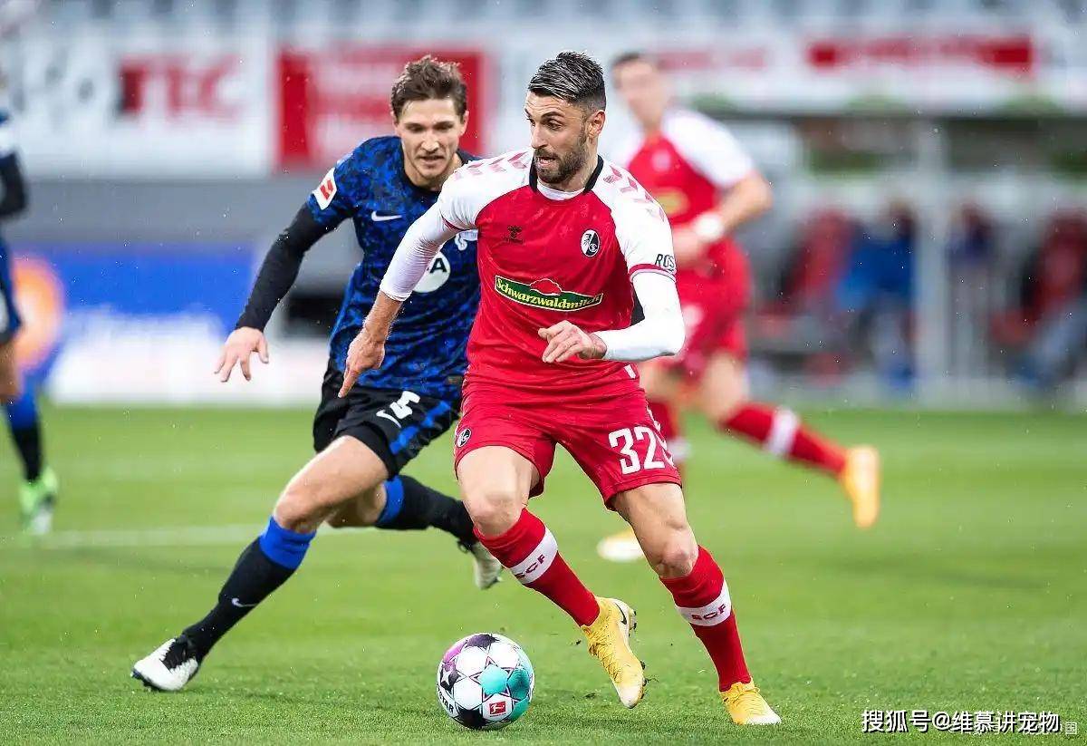 关于葡超赛后走向成谜，费耶诺德强势反弹，震撼外界，年轻球员得到机会的信息-爱游戏娱乐网址