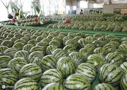 关于赈j8?荂粰?!;耰椪]沪嶴>緪楏樞QE?+m€丟